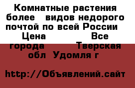 Комнатные растения более200видов недорого почтой по всей России › Цена ­ 100-500 - Все города  »    . Тверская обл.,Удомля г.